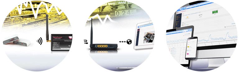 SensGuard DS18B20 draadloze temperatuursensor met externe sonde die meetgegevens naar een SensGuard gateway en cloudplatform verzendt