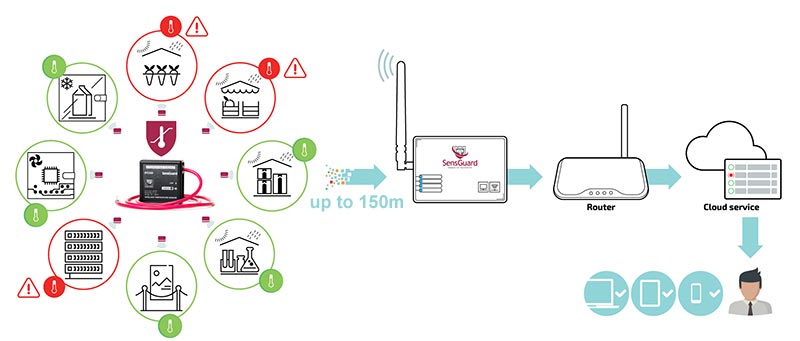 SensGuard PT100 draadloze temperatuursensor met externe sonde die meetgegevens naar een SensGuard gateway en cloudplatform verzendt