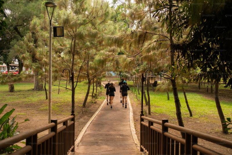 Personentelling in parken en op wandelroutes: inzicht in bezoekersstromen buitenshuis